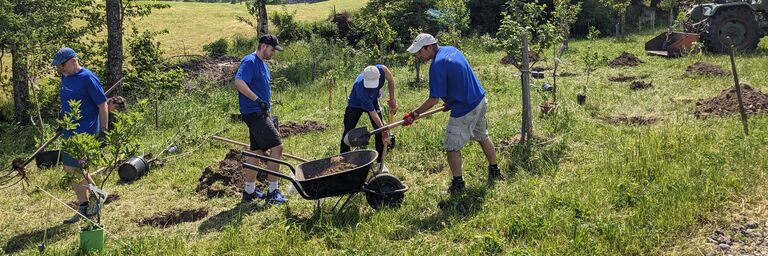 Un groupe de quatre personnes vêtues de T-shirts bleus plante des arbres sur une pelouse verte avec des brouettes et des pelles.